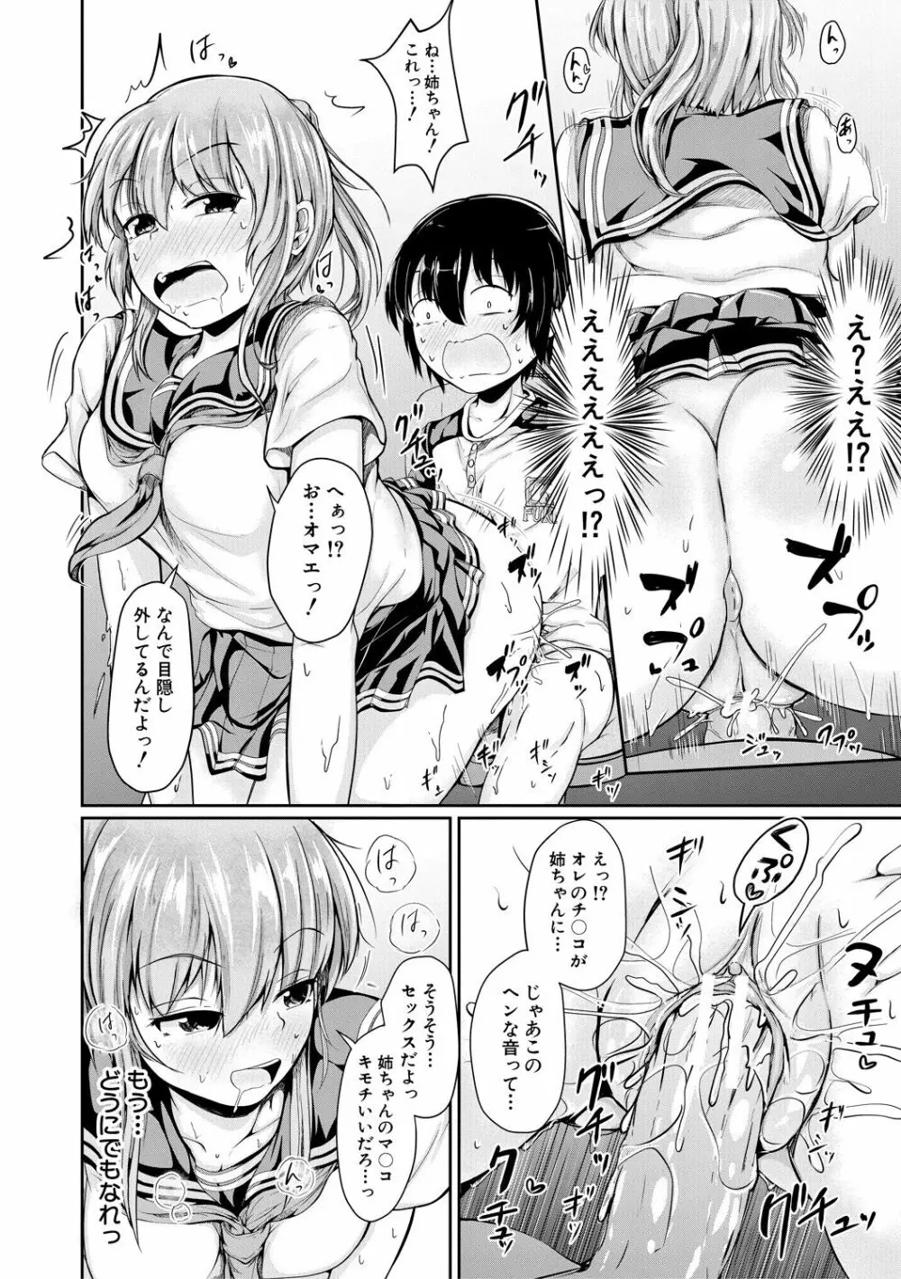 可愛い弟の為なら、私は処女を捨てる! Page.74