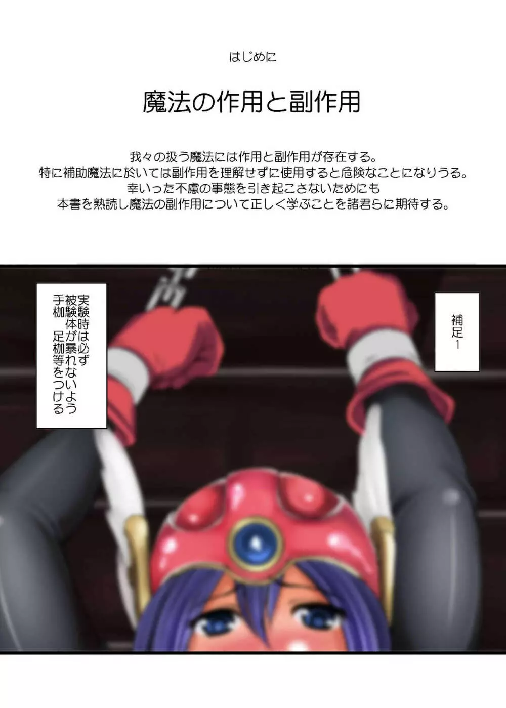 人間に作用する魔法効果の書+失敗しない被験体の捕獲方法 Page.2