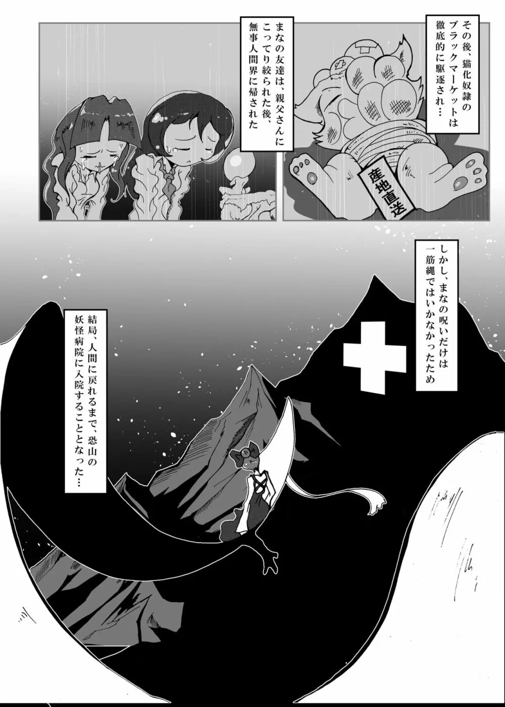 狸猫 ねこぶんのたぬき Page.59