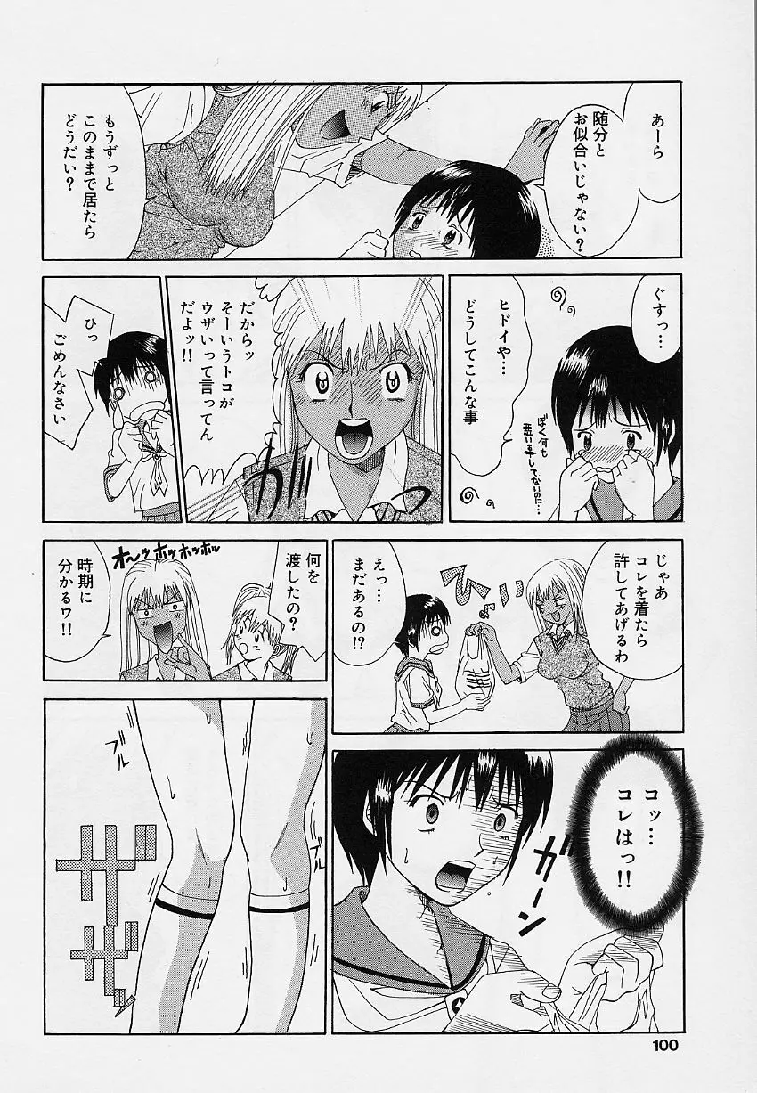乙女のカンヅメ Page.100