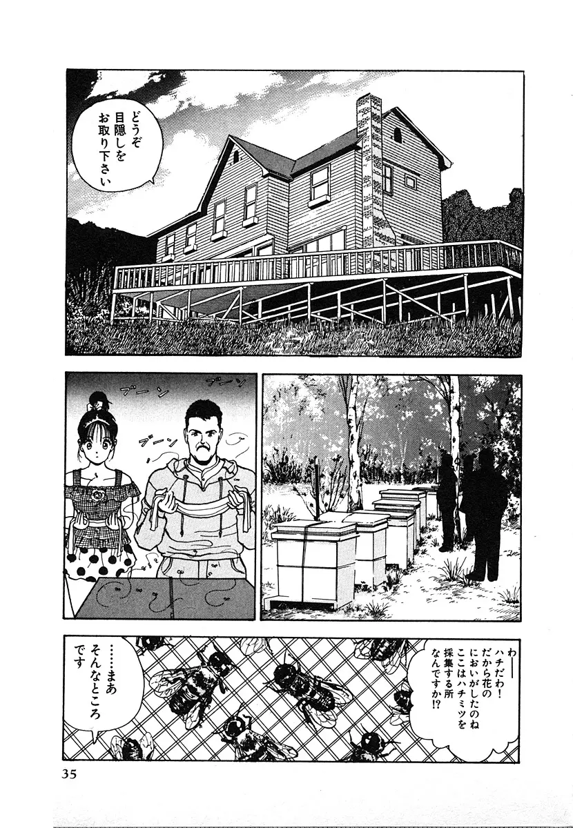 究極のシェフは美味しんぼパパ 第2巻 Page.35