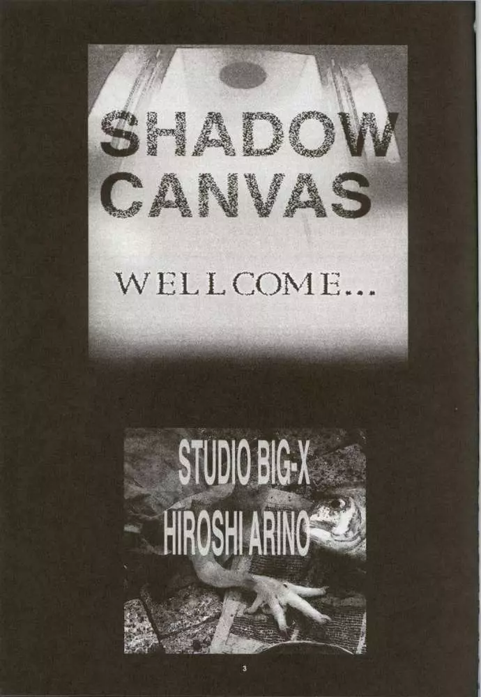 Shadow Canvas 13 Page.2