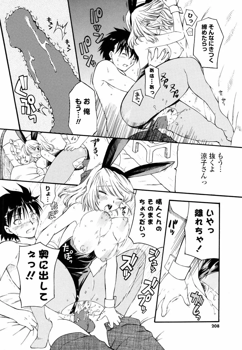 コミック Pフラート Vol.05 2010年06月 Page.208