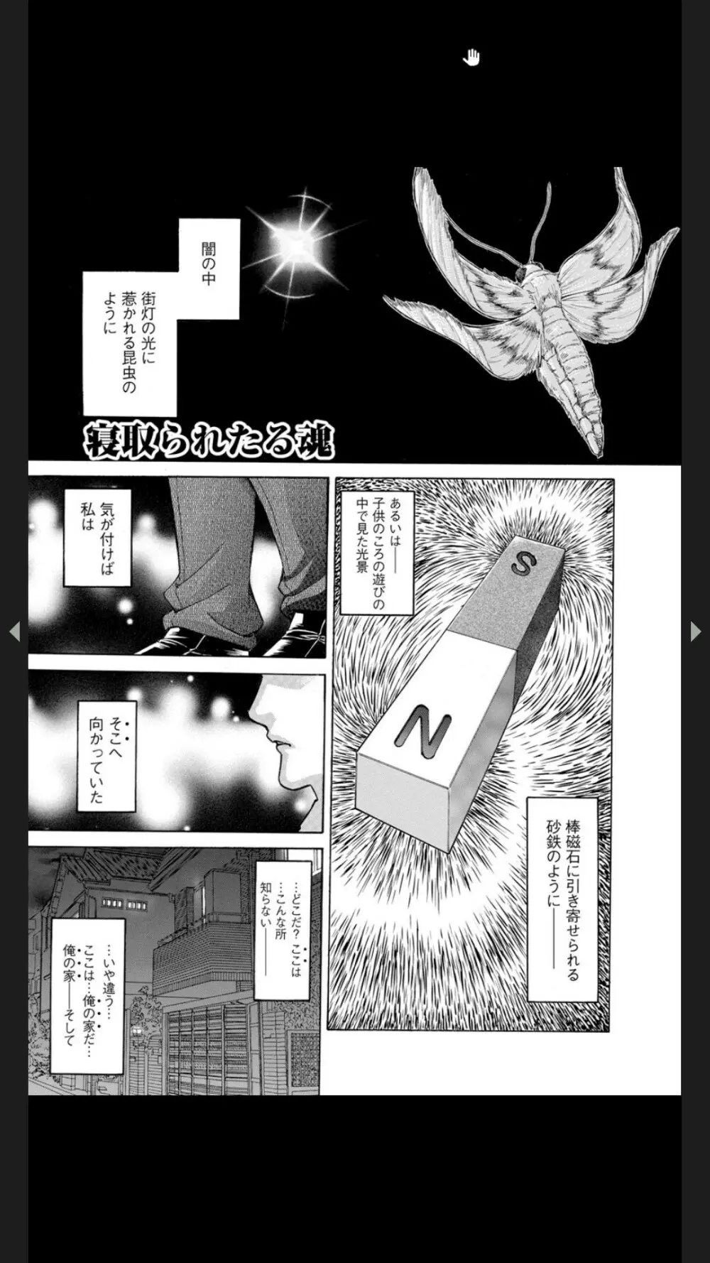淫熟女肉惨昧 Page.73