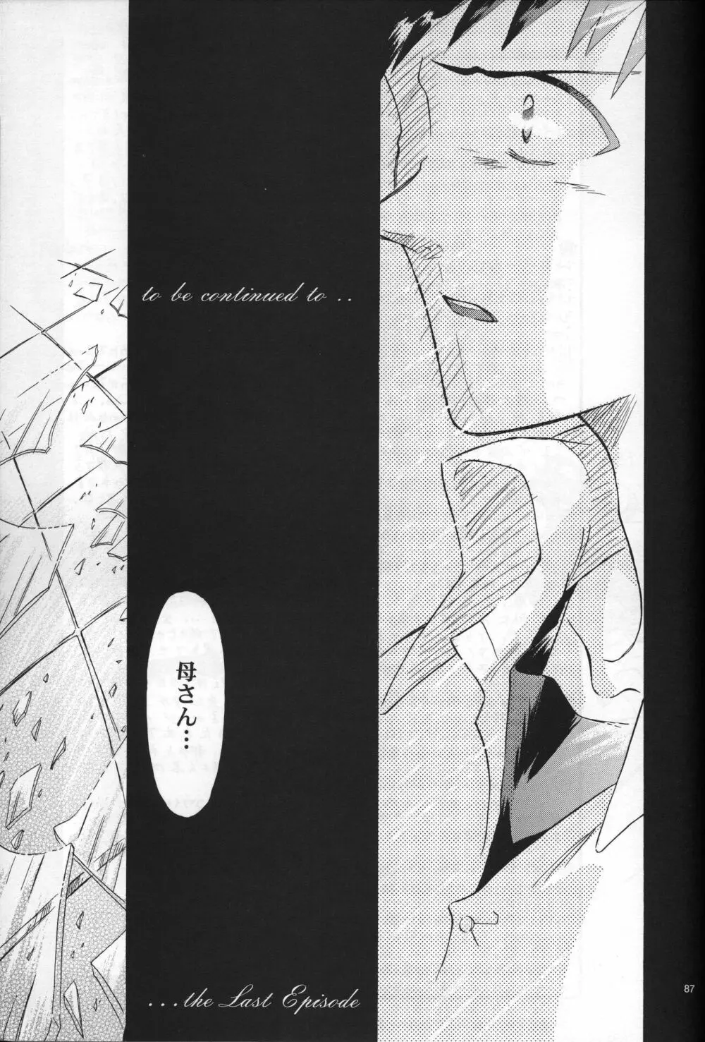 <新約> NEON GENESIS document R Page.88