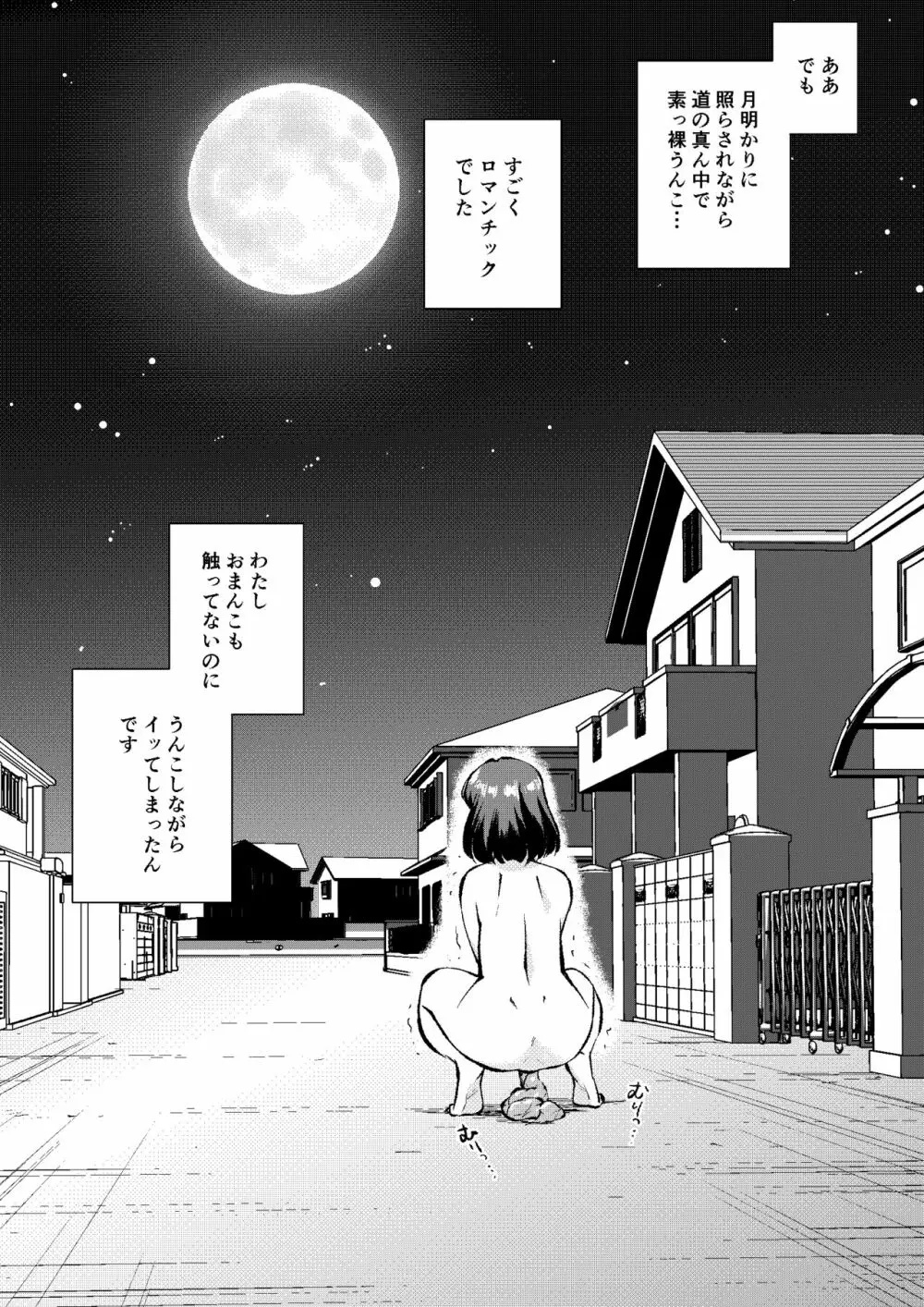 あこがれの路上うんこ Page.26