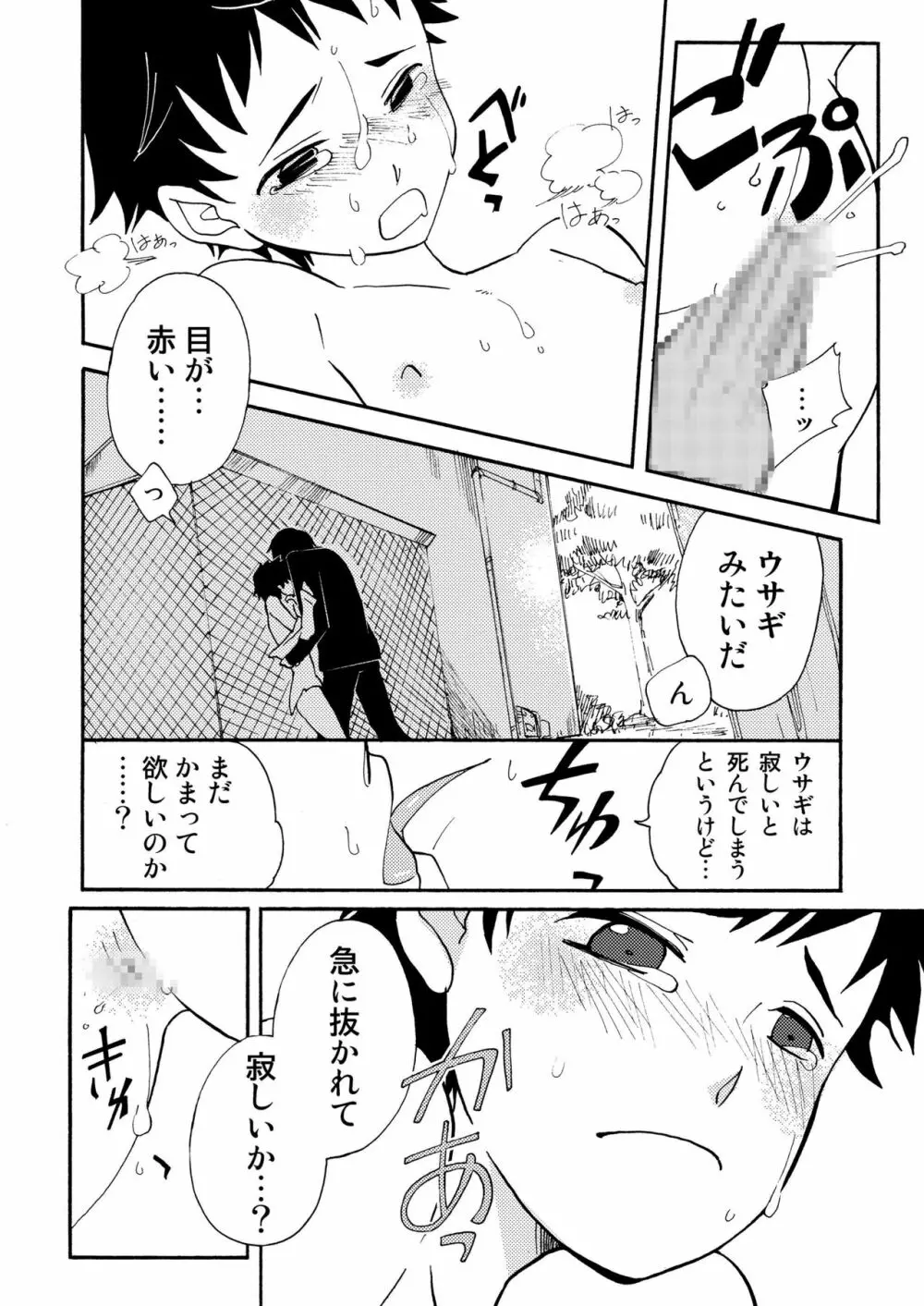 うさぎの声 Page.12