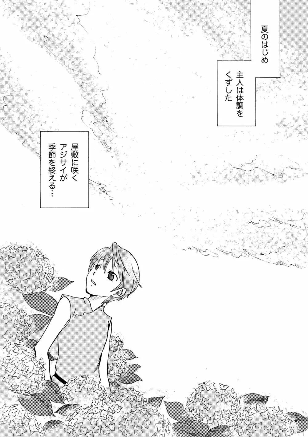 雨の庭 Page.27