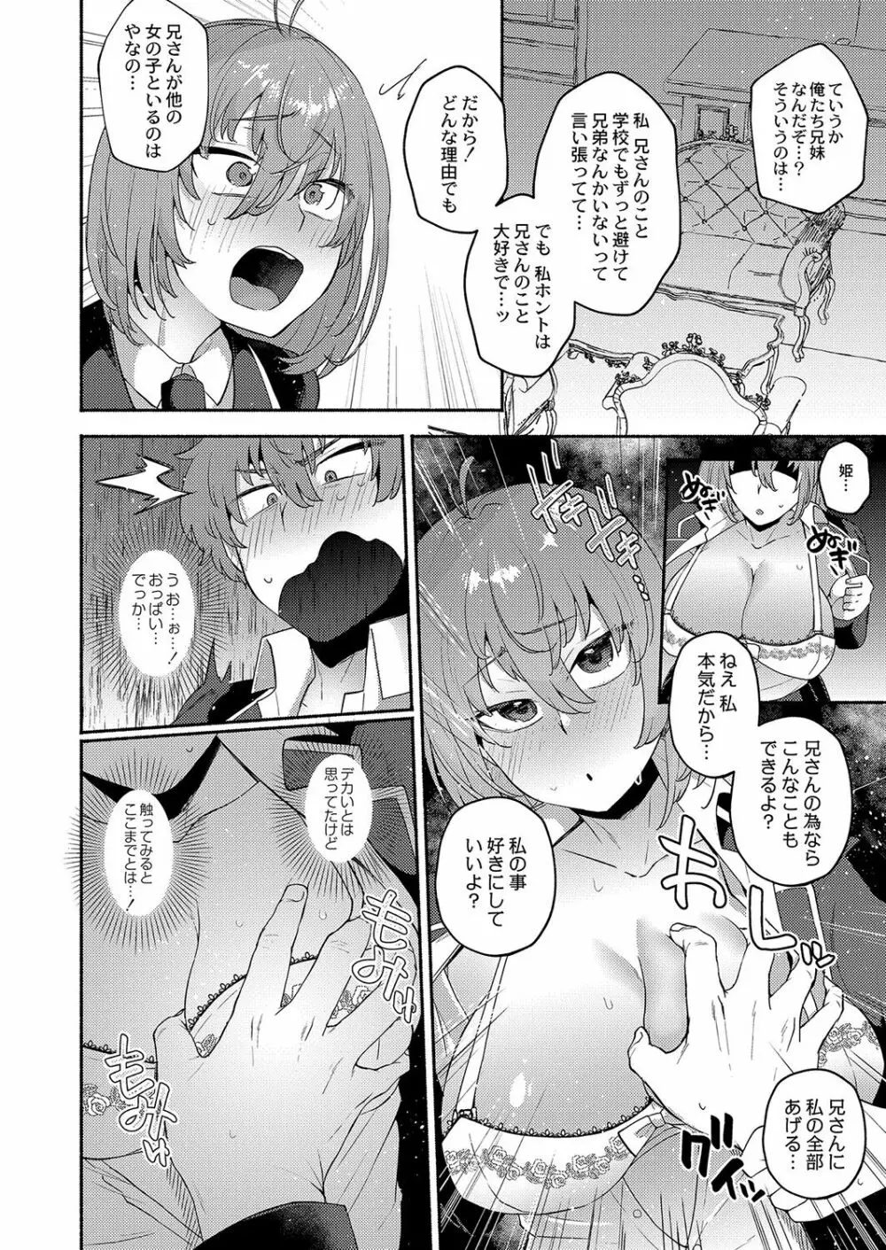 大丈夫。実妹の攻略本だよ。 Page.11