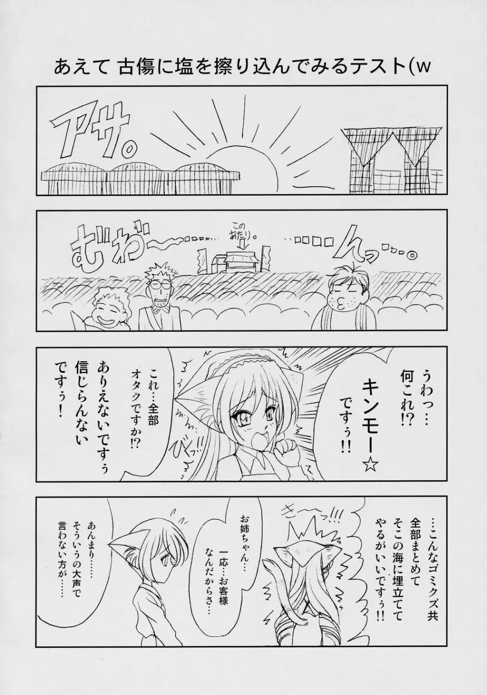 翠星石にゃん4。 Page.3