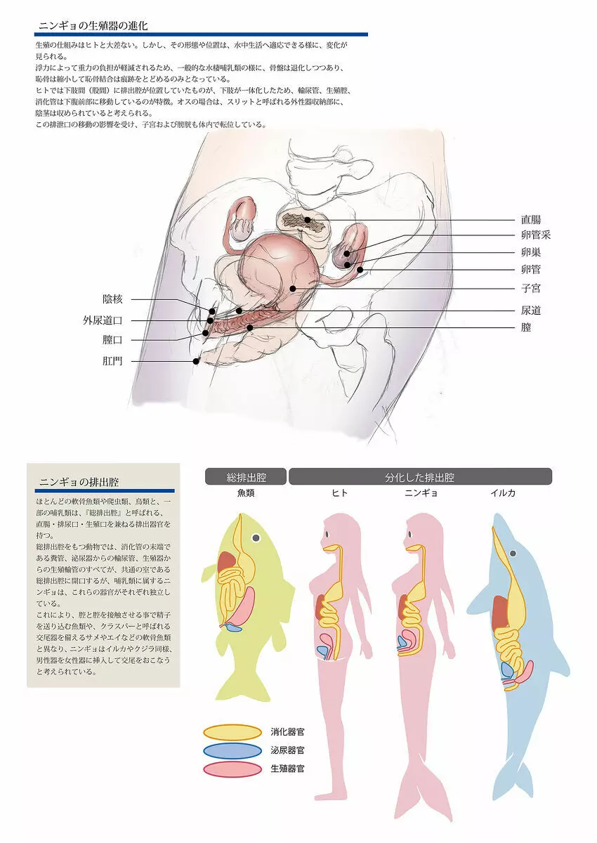 ビッチマーメイド 01-16 Page.30