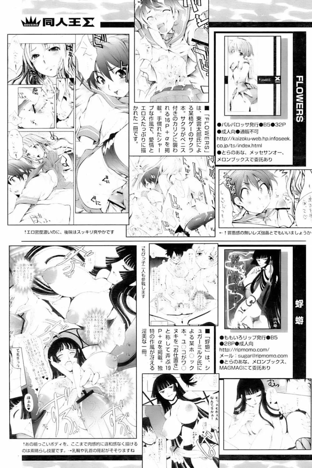 COMIC パピポ 2007年01月号 Page.241