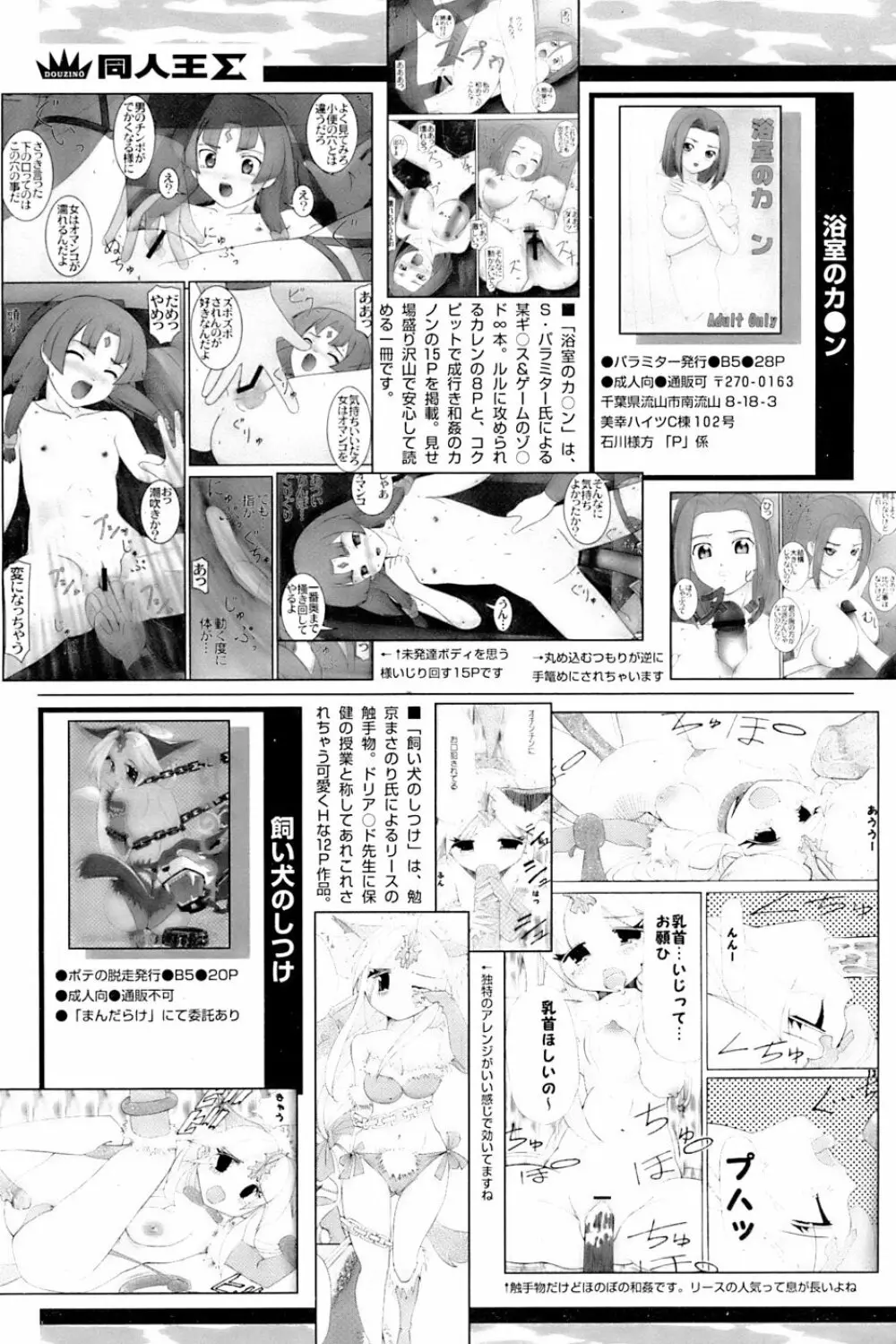 COMIC パピポ 2007年3月号 Page.242