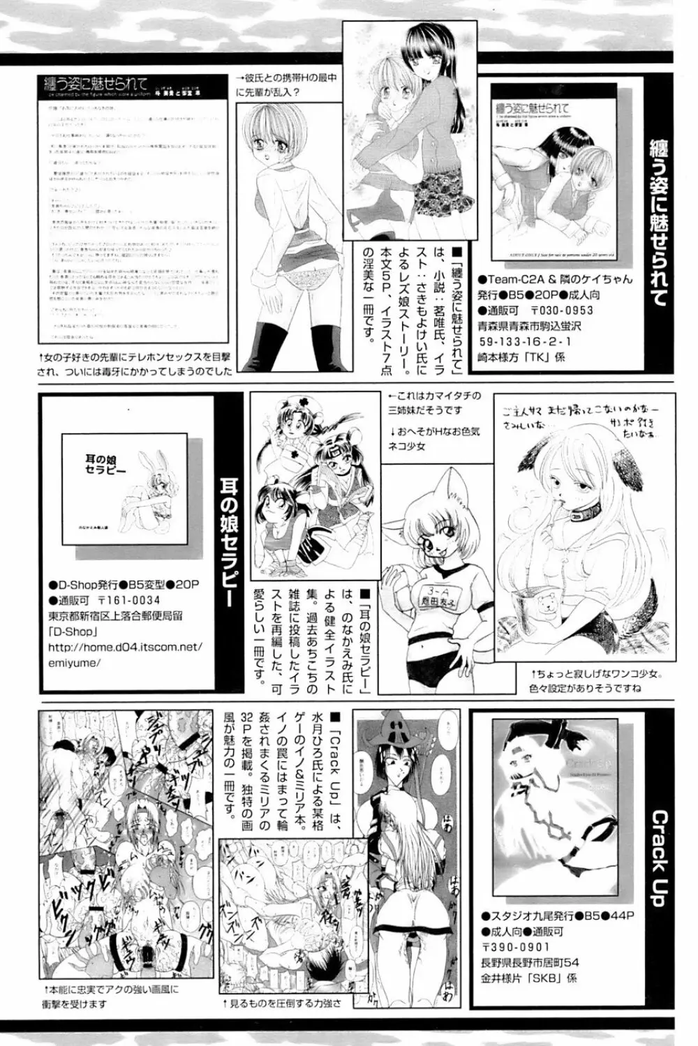 COMIC パピポ 2007年3月号 Page.243