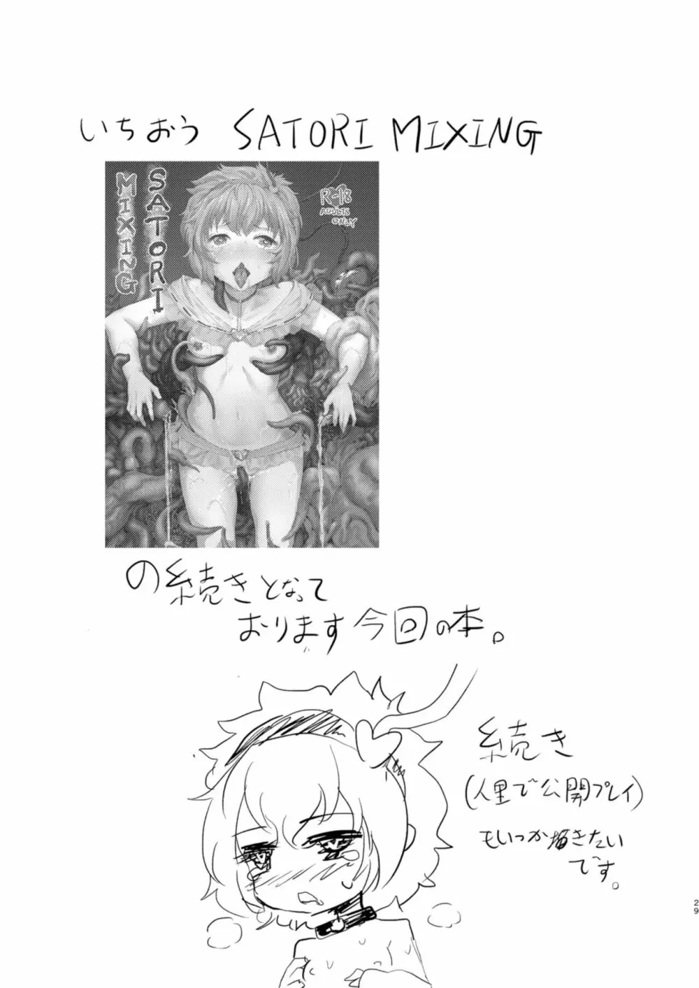 Satori EX TOY Page.29