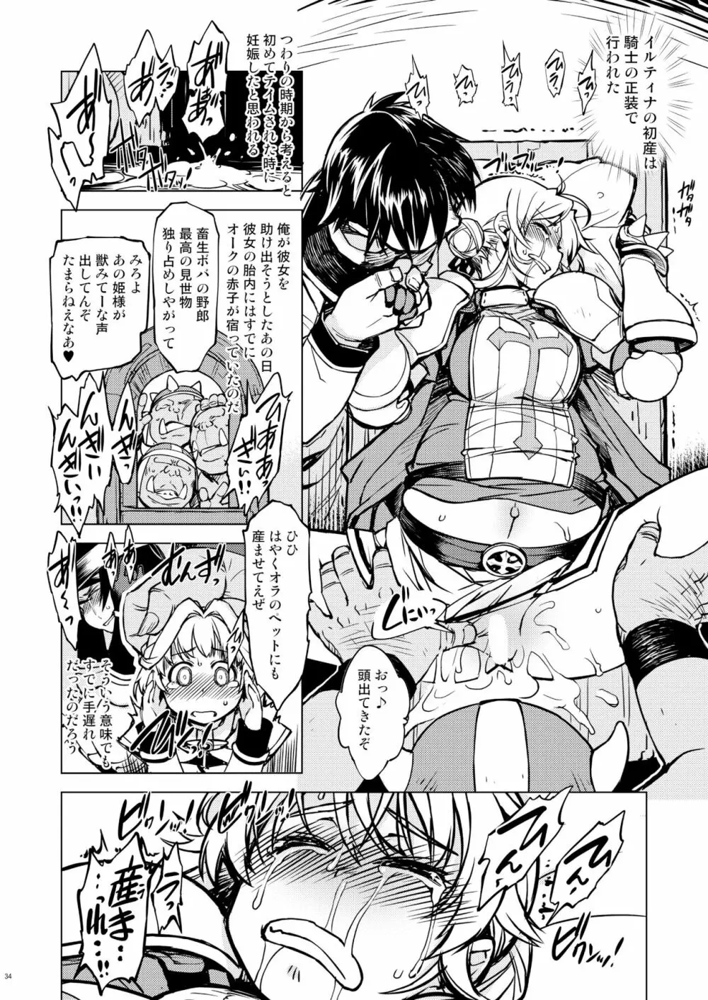 姫騎士テイム 3 Page.33