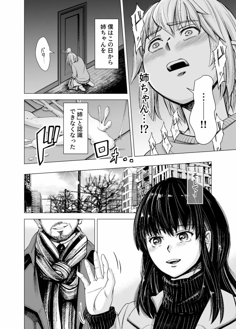 もう、姉として認識できない。 Page.13