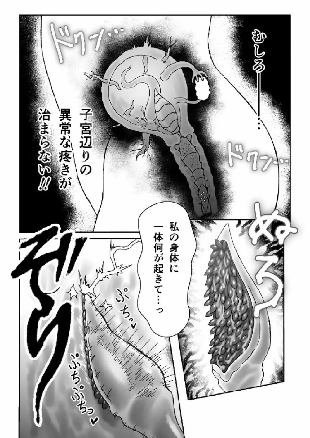 魔女が触手と蟲に寄生されて子宮と人生をめちゃくちゃにされる話 Page.12