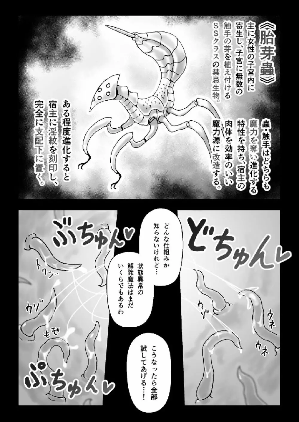 魔女が触手と蟲に寄生されて子宮と人生をめちゃくちゃにされる話 Page.9