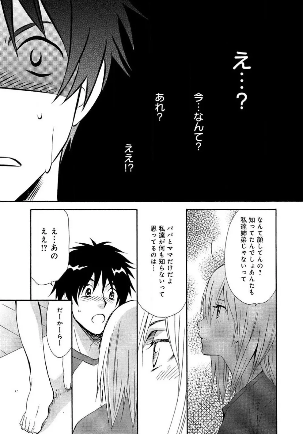 姉の肉蜜 Page.10