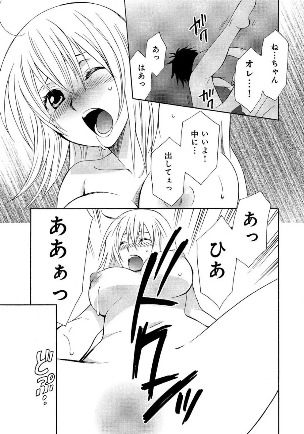 姉の肉蜜 Page.20