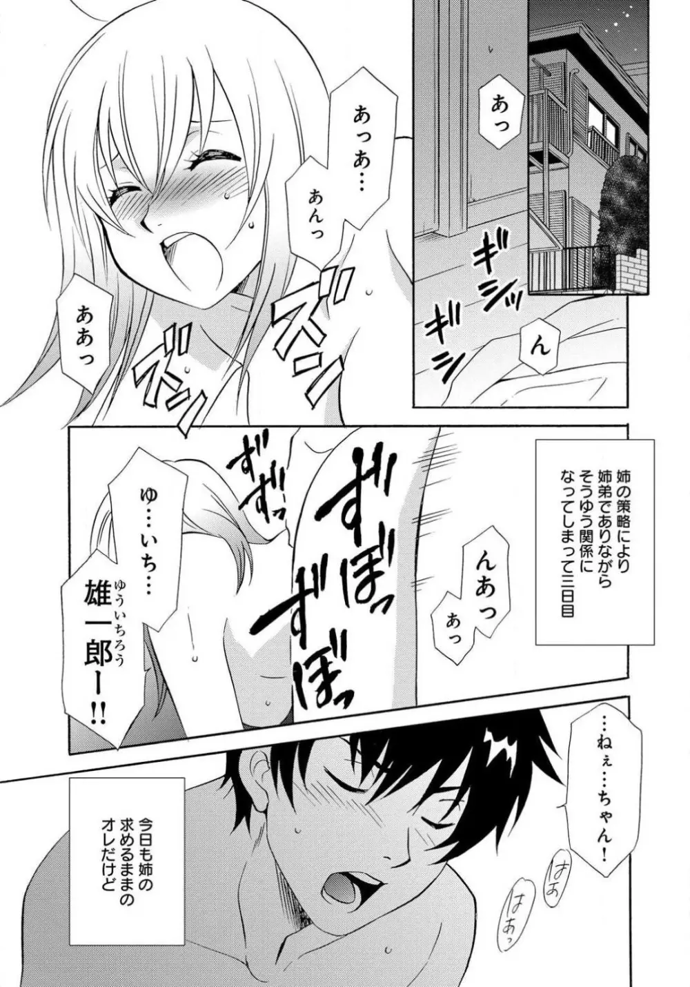 姉の肉蜜 Page.23