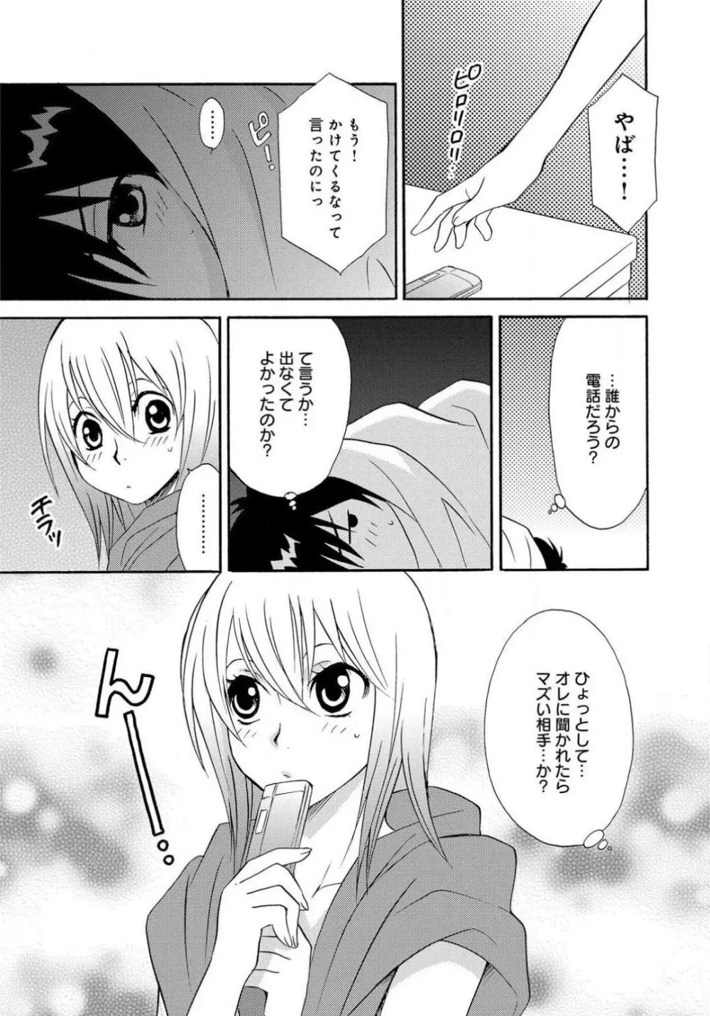 姉の肉蜜 Page.27