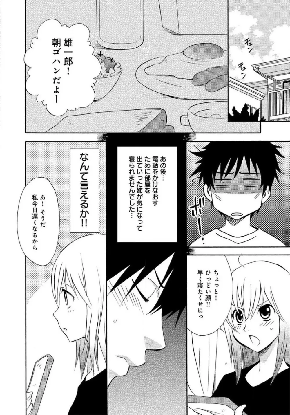 姉の肉蜜 Page.28