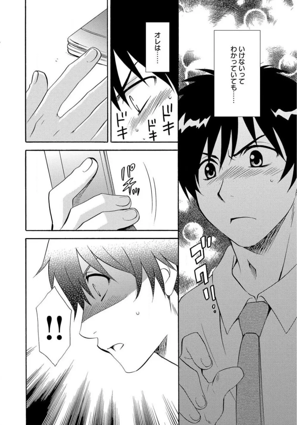 姉の肉蜜 Page.30