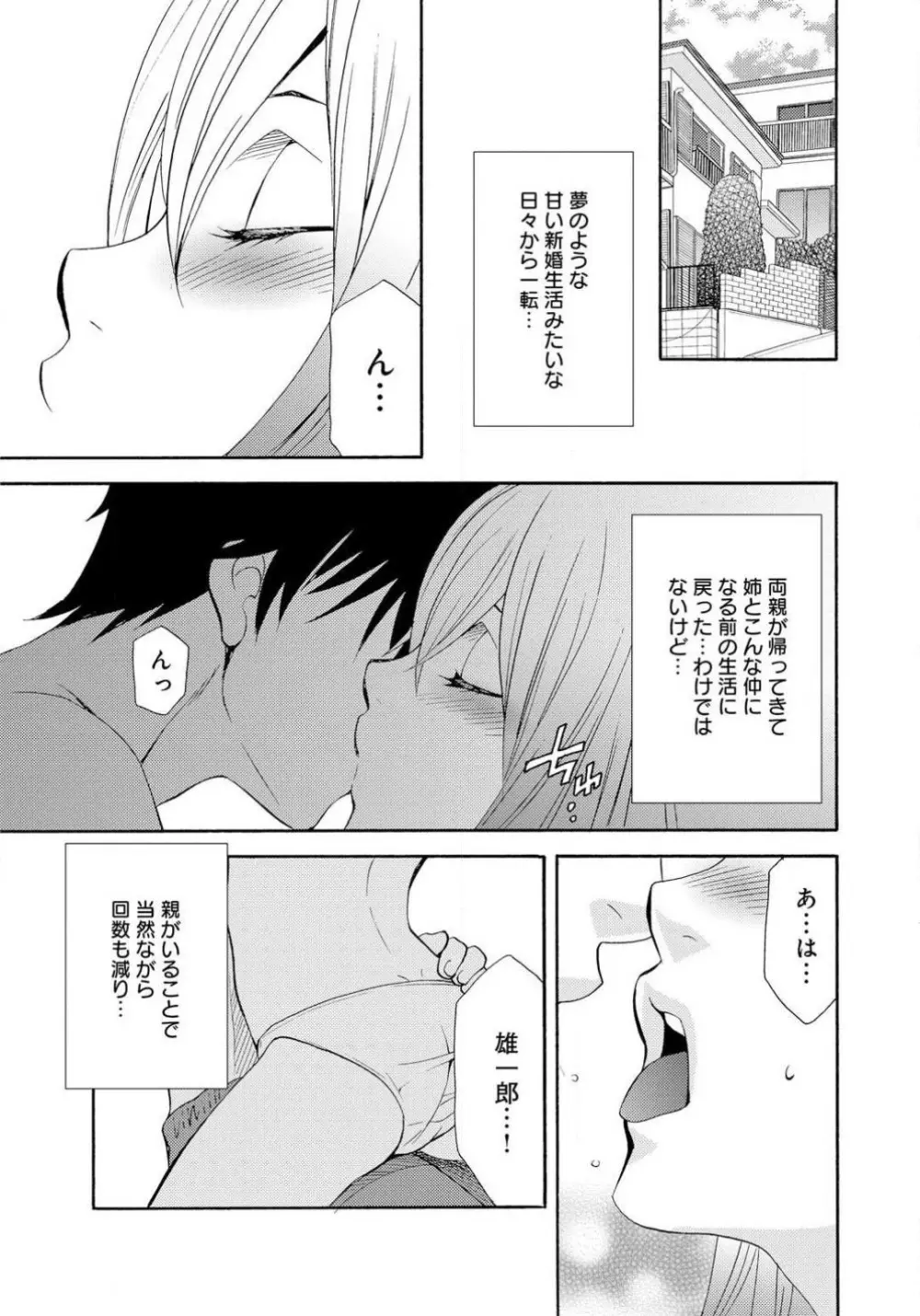 姉の肉蜜 Page.44