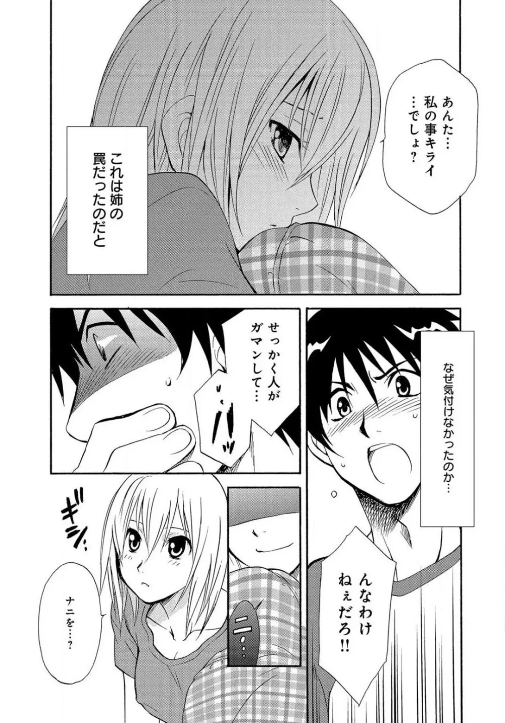 姉の肉蜜 Page.8