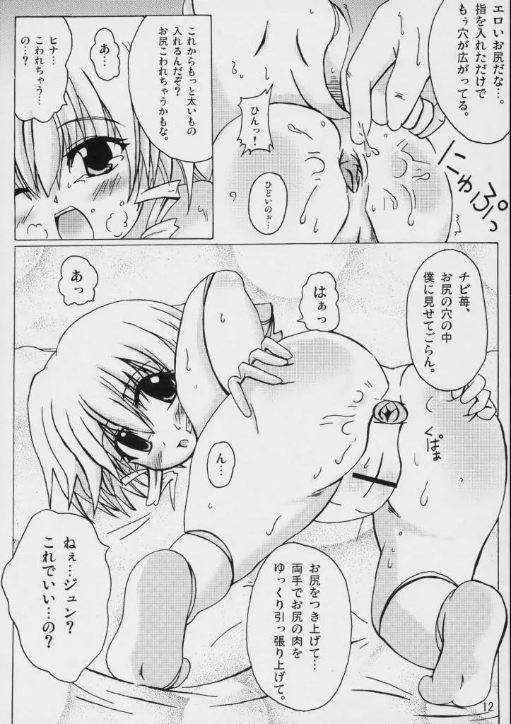 - そうやって雛は微笑む Page.11