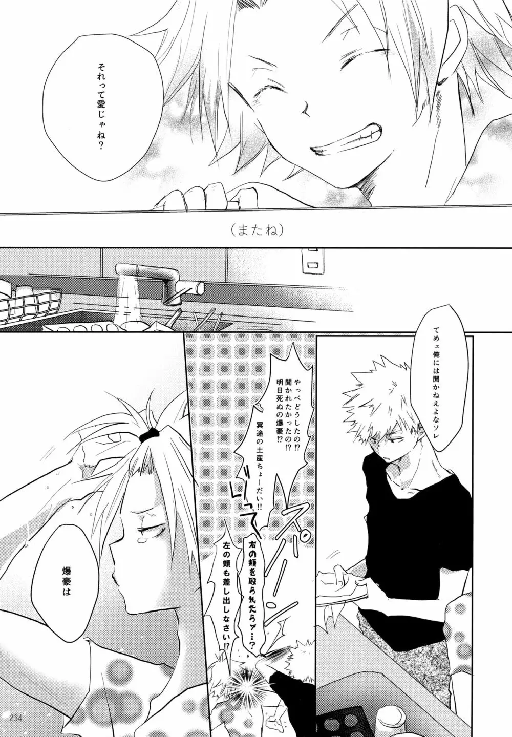 Re:Chilled轟爆再録2 Page.234