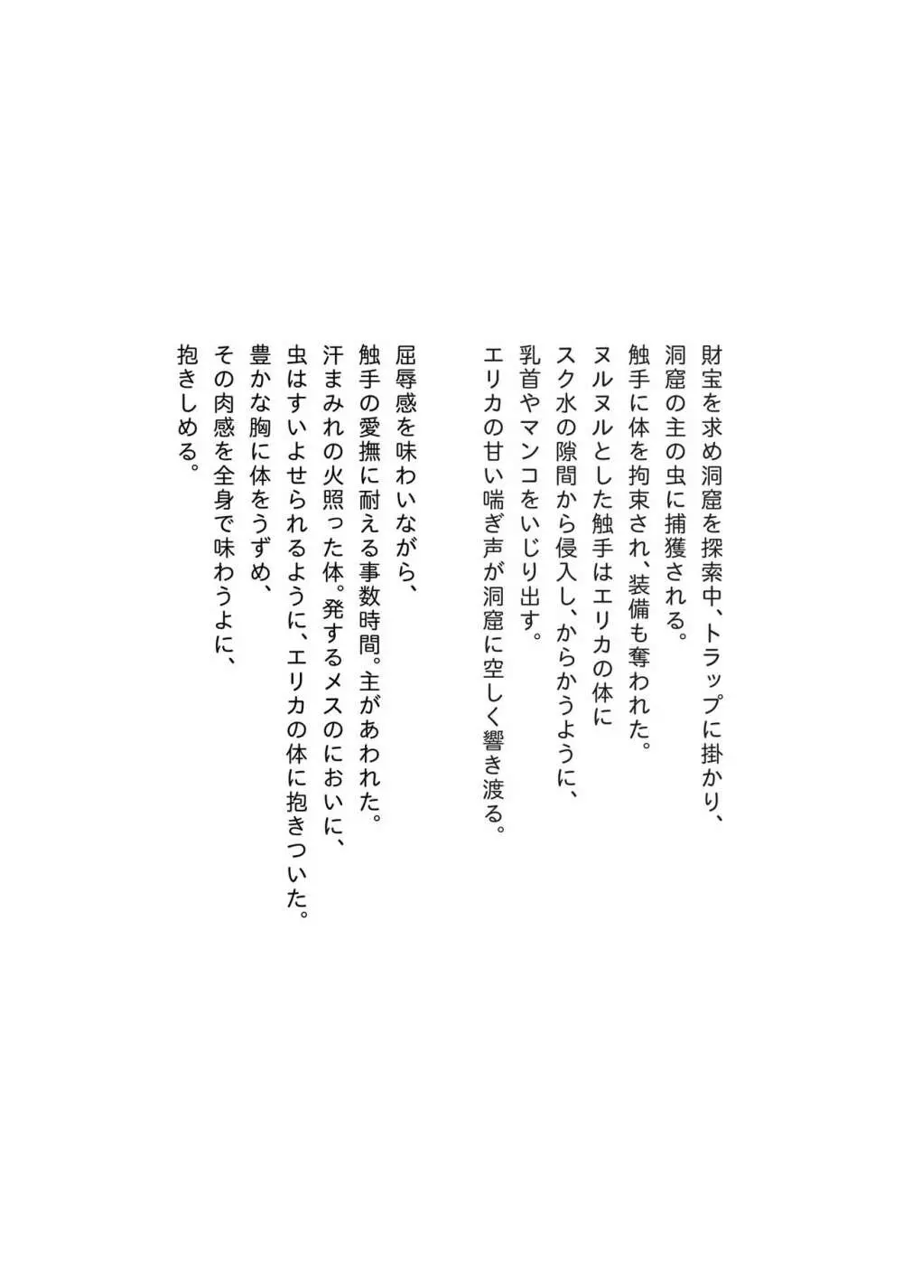 ドスケベ女戦士の異種姦本 Page.14