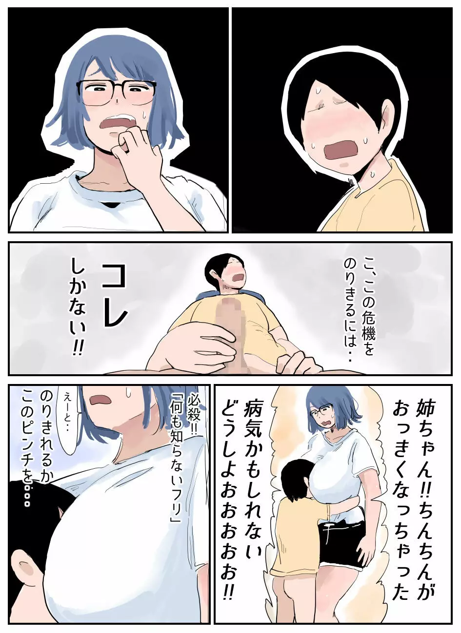 ぼくには姉がいます～まじめ長女と次女ヤンキー～ Page.3