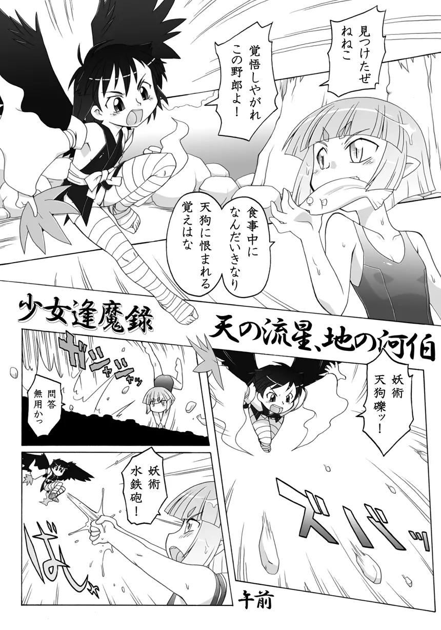妖女大図鑑6 Page.3