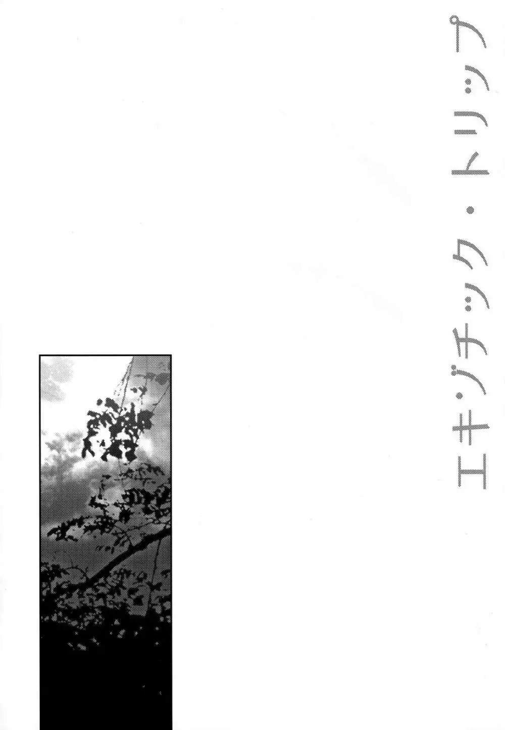 エキゾチック・トリップ Page.3