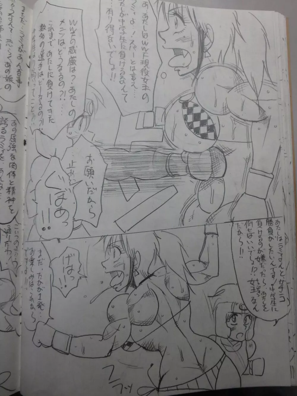 ティアラVSラミィ初スパー Page.84