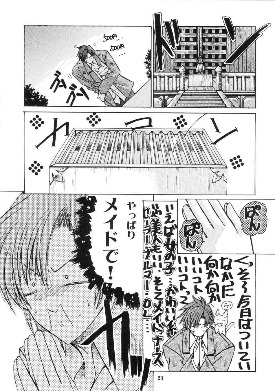 まいちんぐマーニャ＆ミネア 2 Page.22