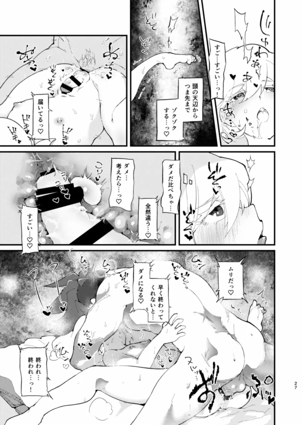 ネトリオ Page.27