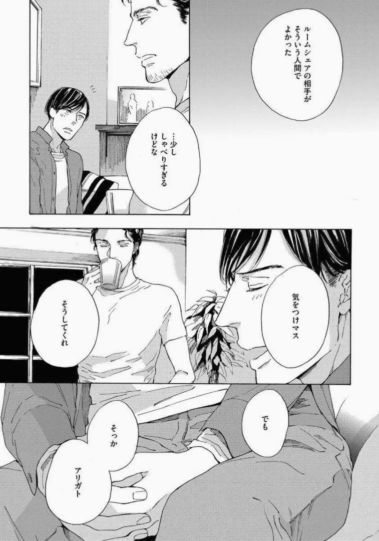 陰と日向のボーダーライン Page.147