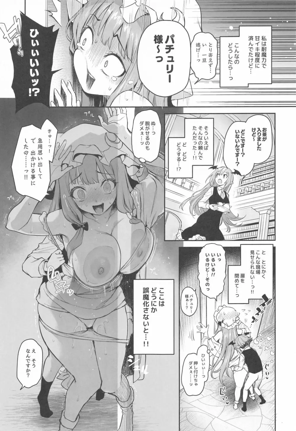 パチュリー様と秘密の部屋 Page.9