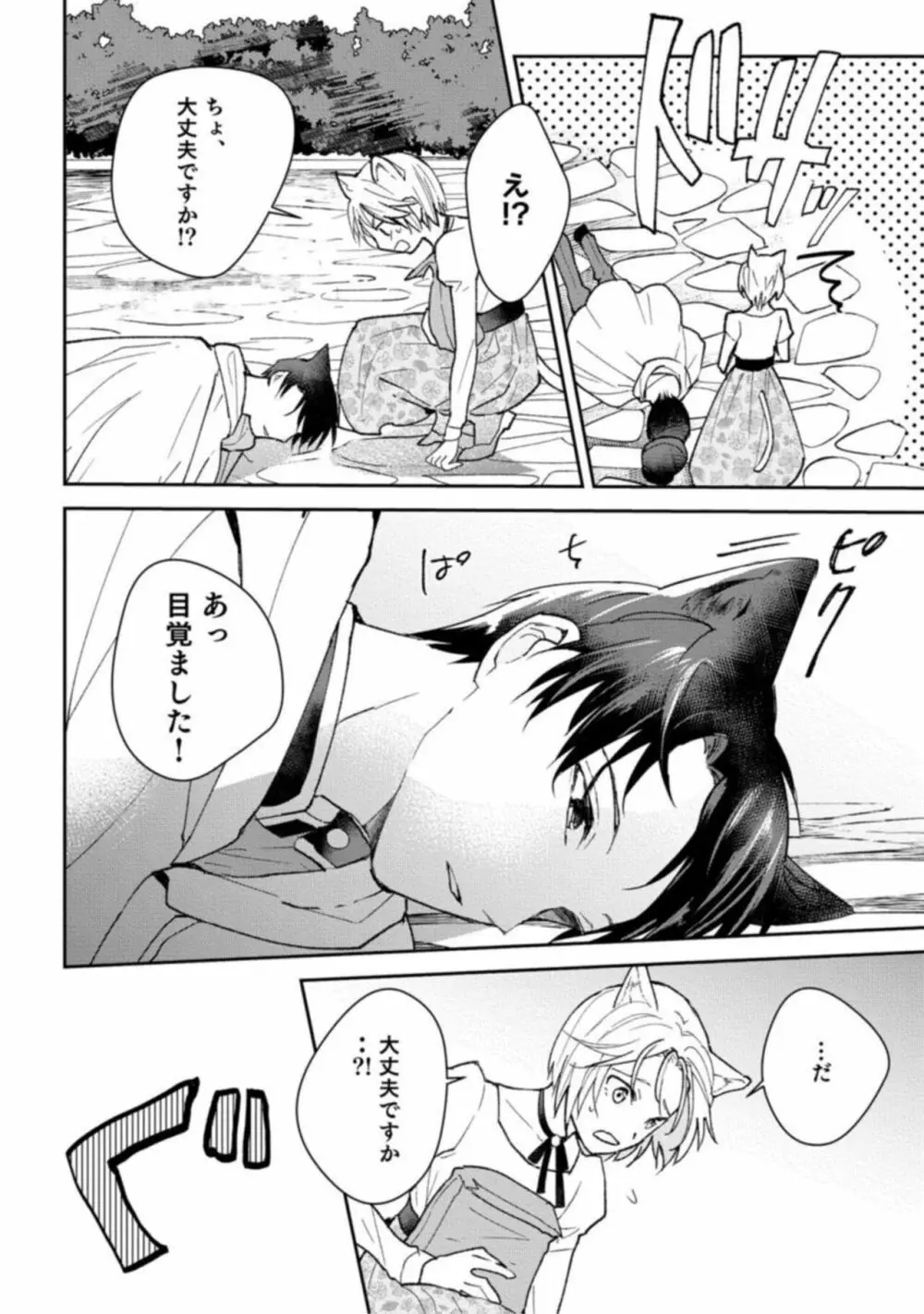獣人騎士の敬愛 STORY.1 Page.10