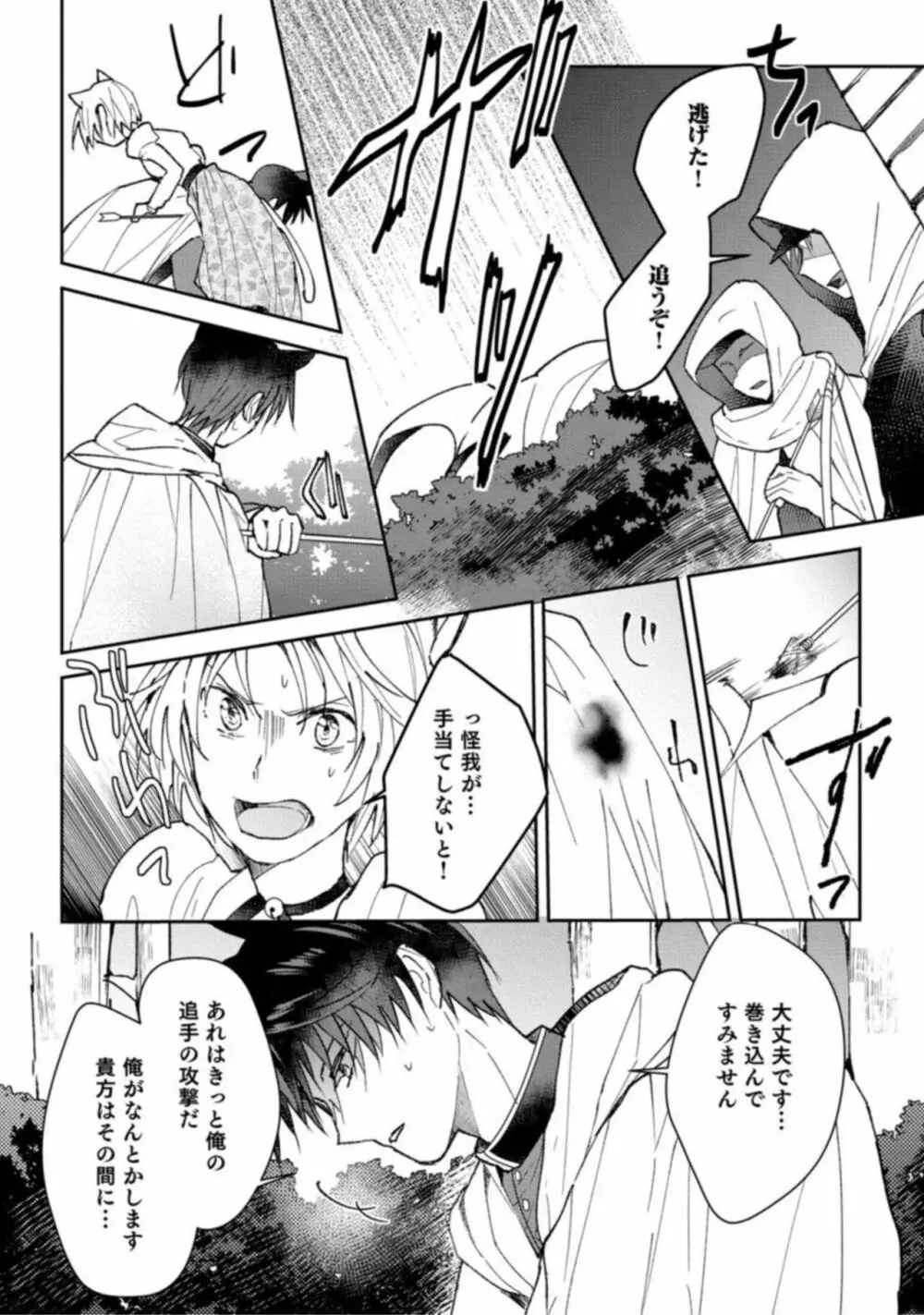 獣人騎士の敬愛 STORY.1 Page.14