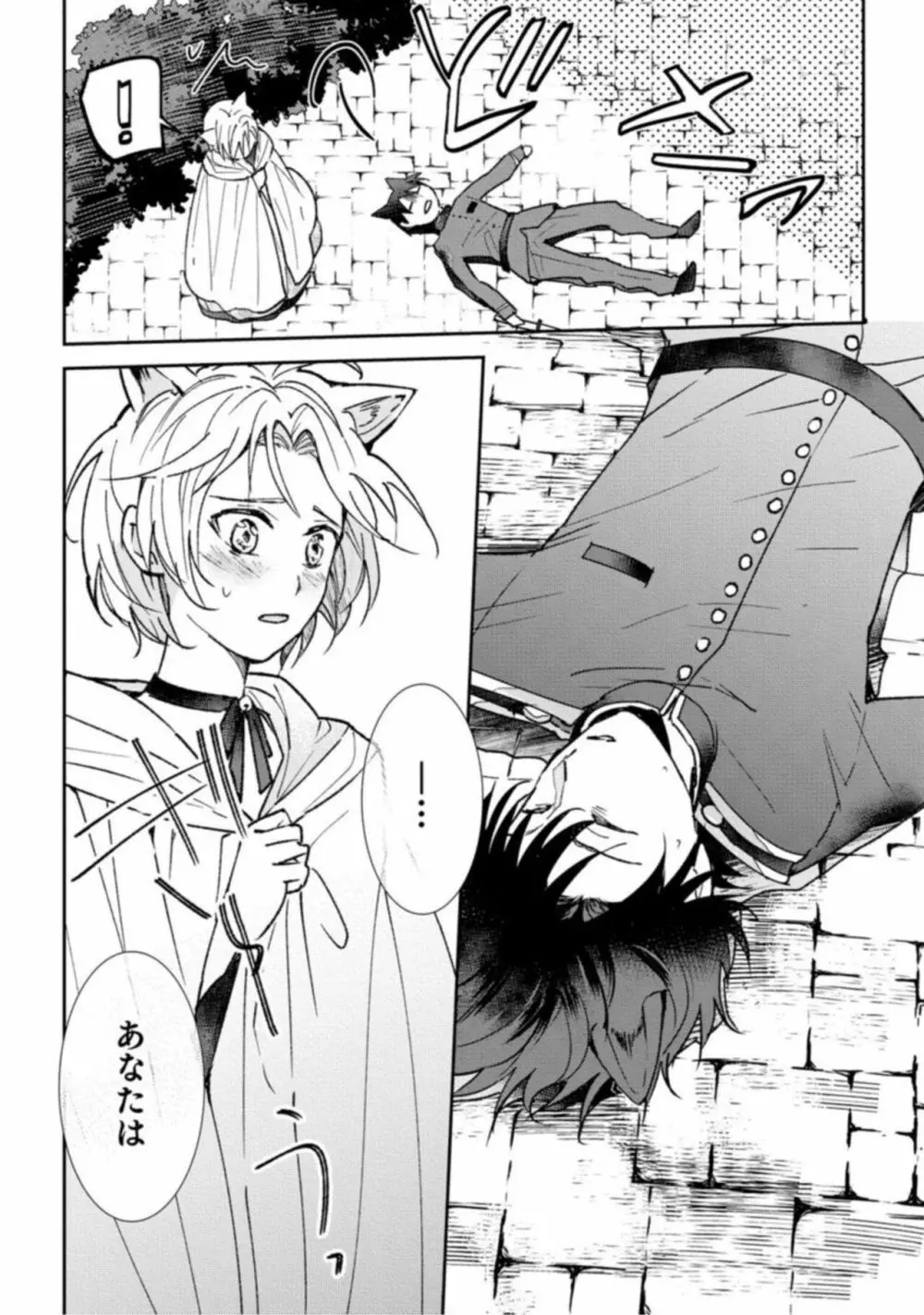 獣人騎士の敬愛 STORY.1 Page.26