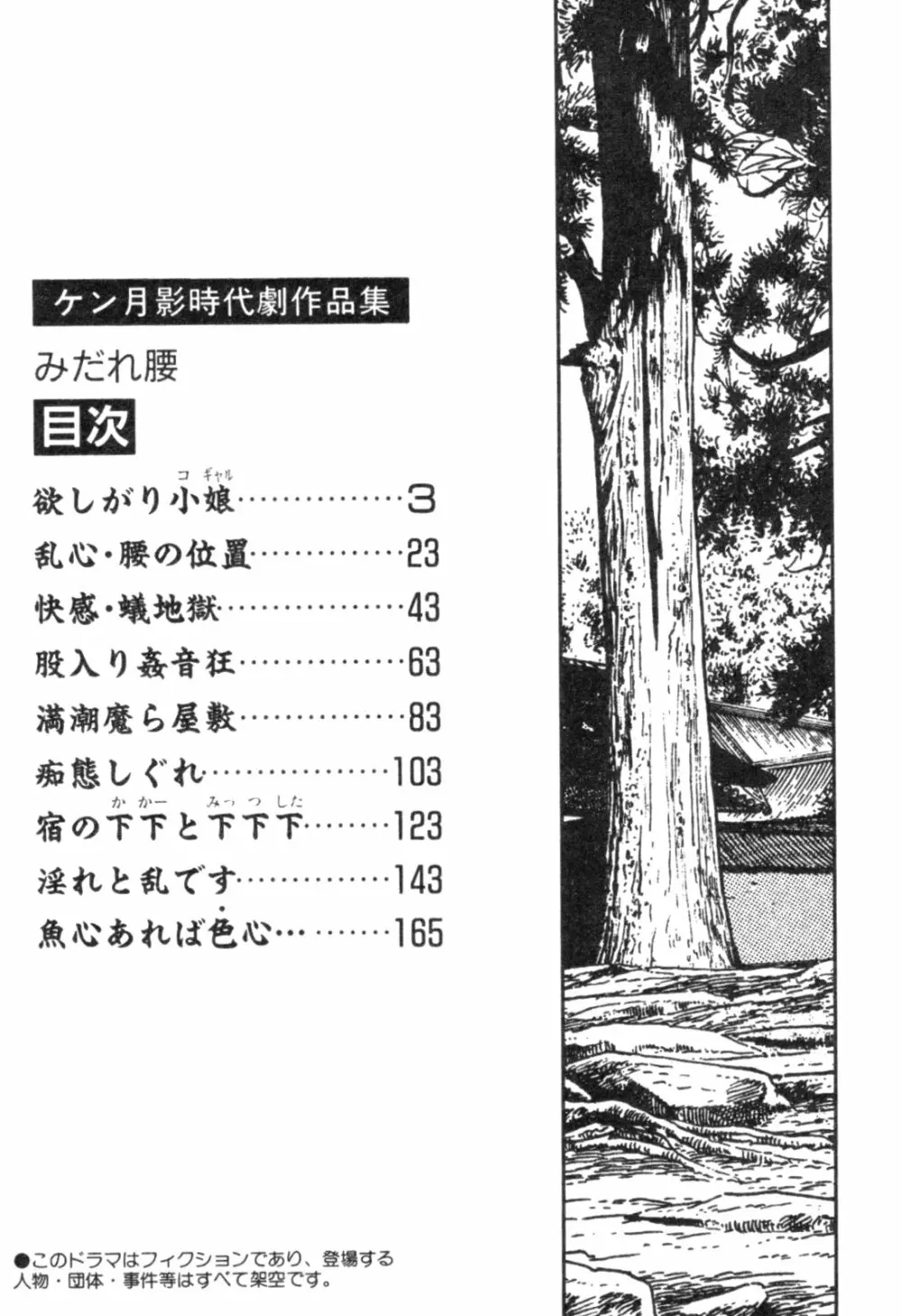 みだれ腰 時代劇シリーズ 4 Page.5