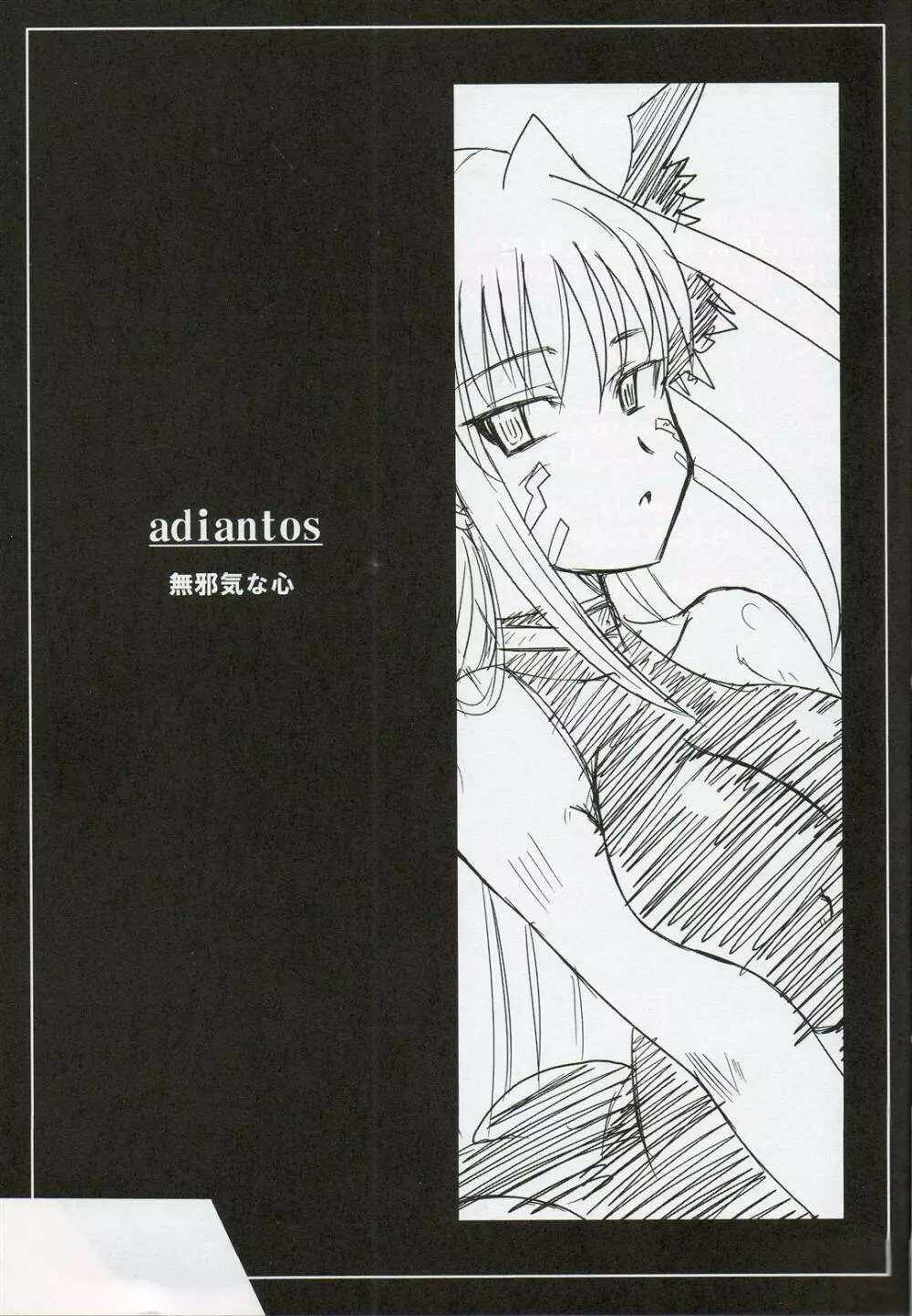 adiantos Page.2