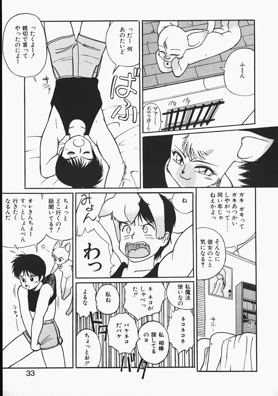 チャーム・ザ・キャット Page.33