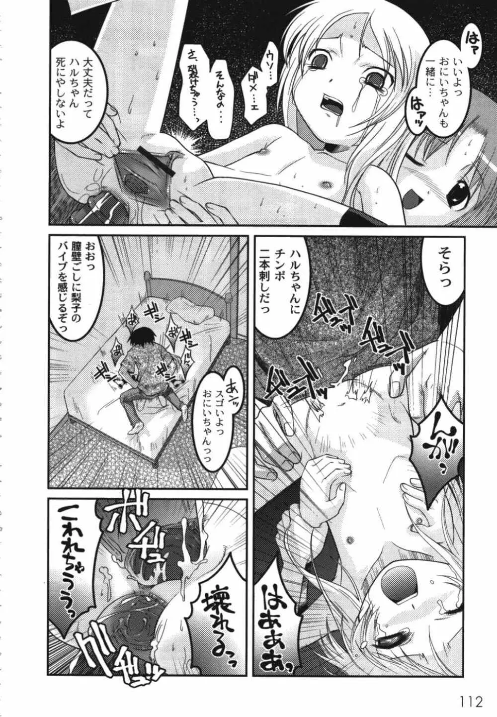 鬼畜兄妹凌辱記 Page.114