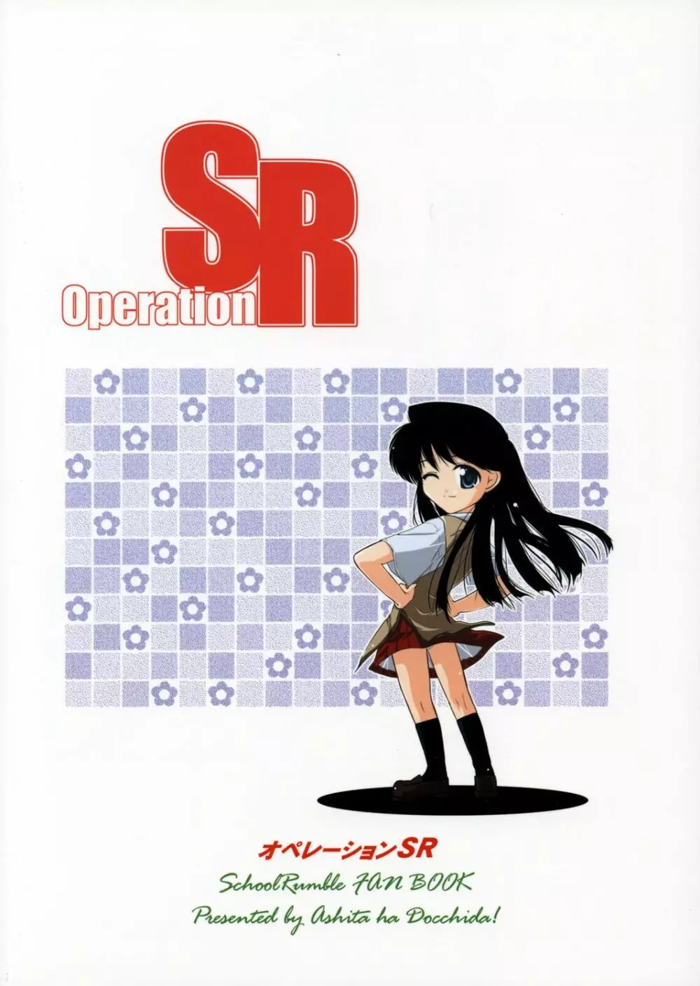 Operation SR Page.42